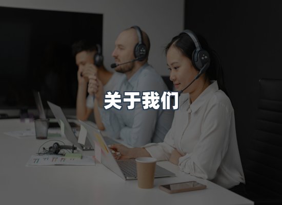 专业团队